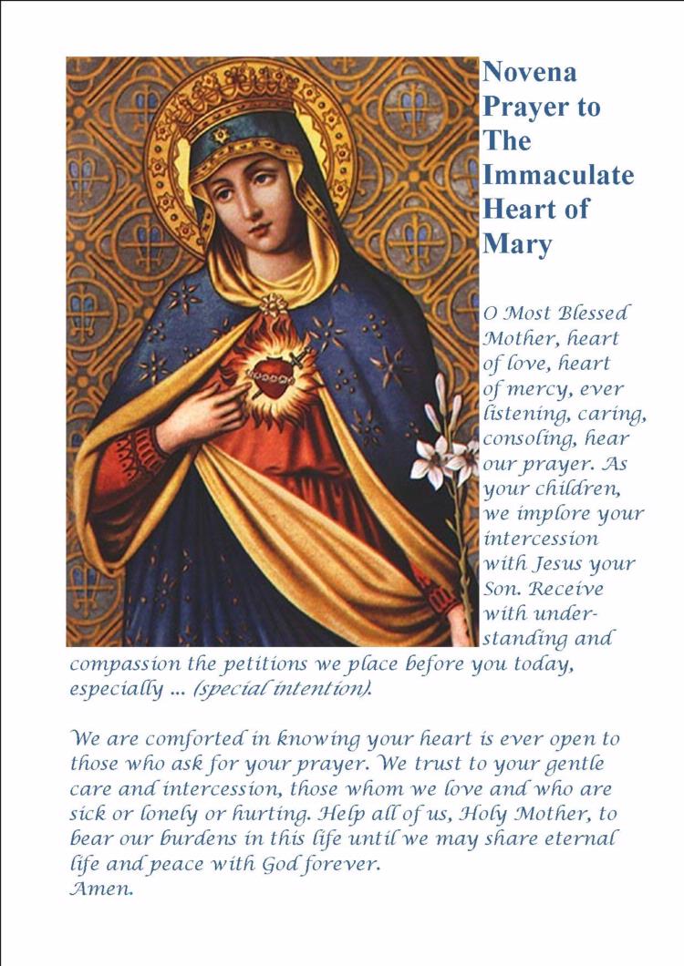 Devotion to the Immaculate Heart of Mary Enter through the Narrow
